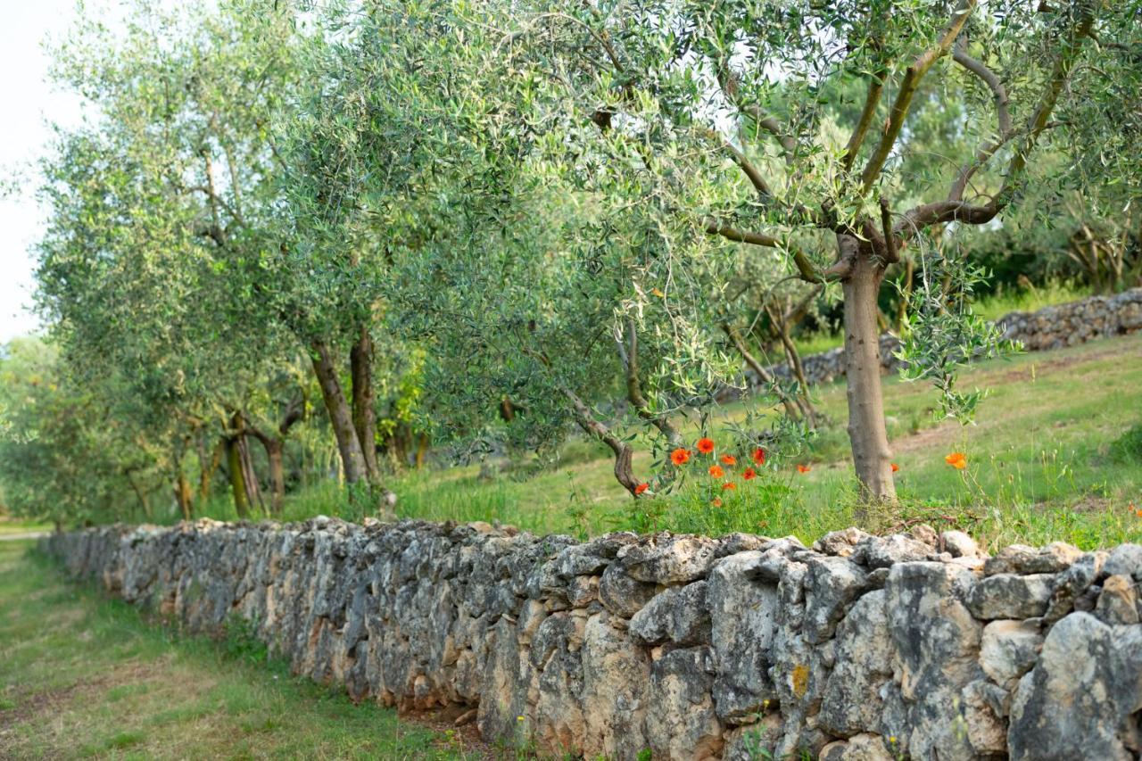 Agriturismo Sommavalle Verona Exterior photo
